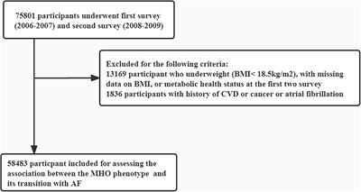 Transition of Metabolic Phenotypes and Risk of Atrial Fibrillation According to BMI: Kailuan Study